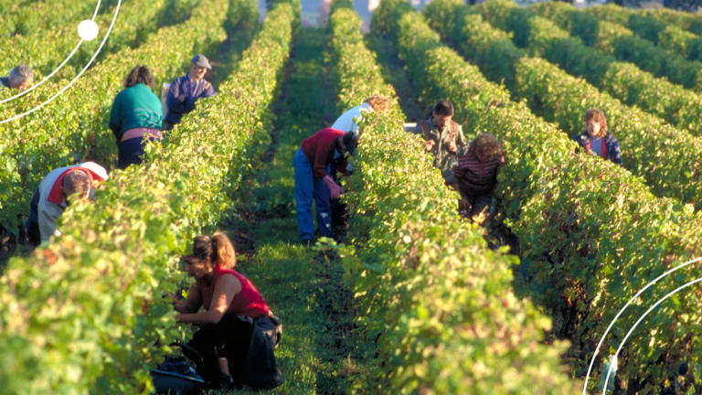 Honoring Farmworkers: Celebrating the Legacy of César Chávez and Dolores Huerta