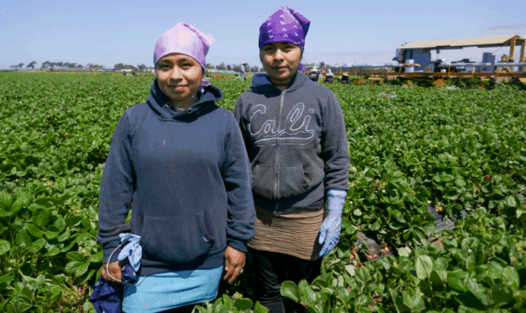 Fields of Opportunity: Supporting Ventura County’s Farmworker Families and Youth Through Mobile Learning and Workforce Training